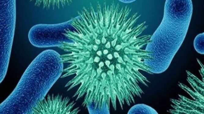La Enfermedad X, nueva preocupación de la OMS ante una nueva pandemia