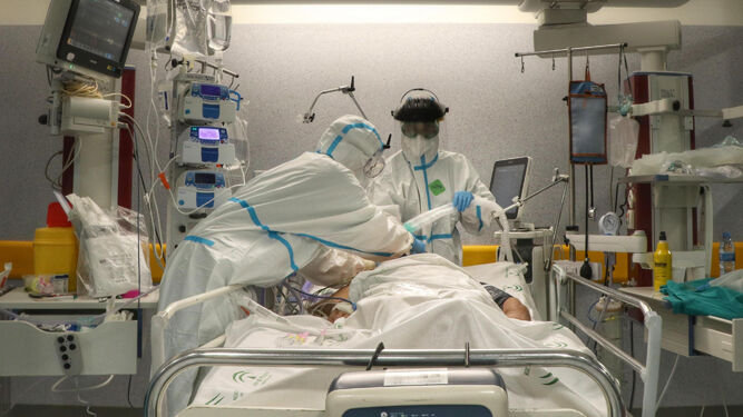 Sanitarios atienden a un paciente con Covid-19 en el Hospital Reina Sofía de Córdoba.