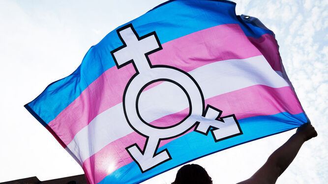 Bandera reivindicativa de los derechos trans