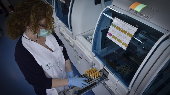 Una sanitaria revisa las muestras en el laboratorio de un hospital.