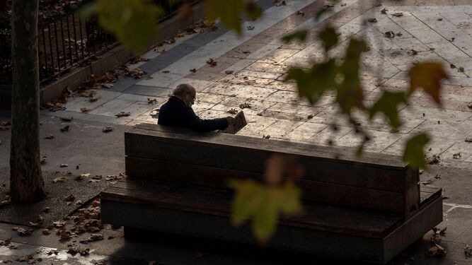 Un hombre atento a la lectura mientras las hojas de los árboles caen.
