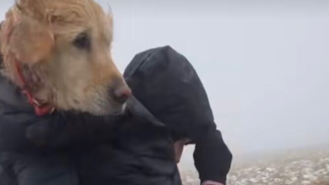 Una perra es rescatada a hombros por una pareja de senderistas tras llevar dos semanas perdida
