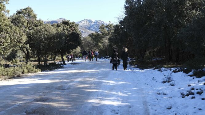Excursionistas pasean por un paraje de la Sierra de las Nieves.