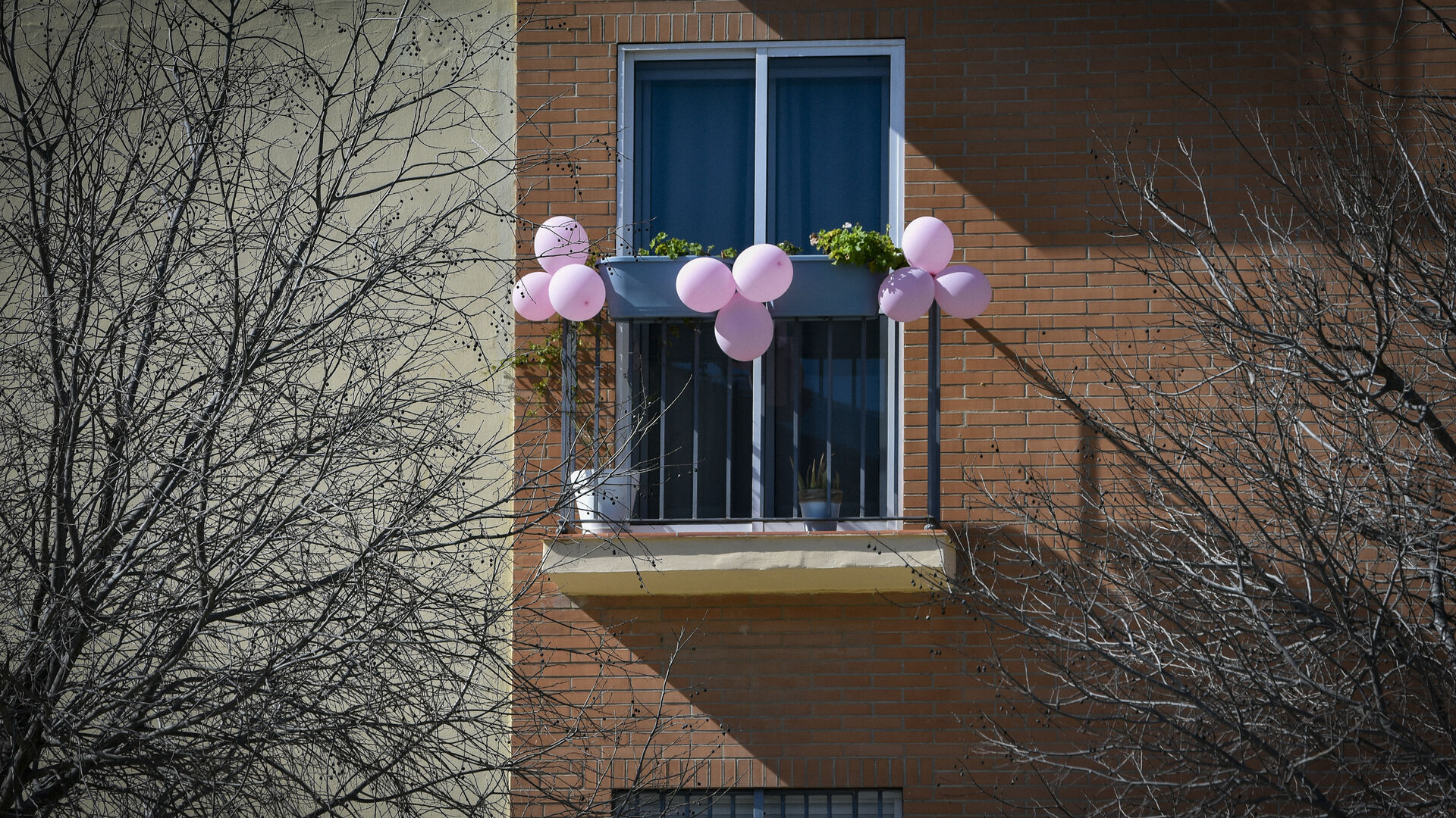Andex anima a colgar globos en ventanas y balcones