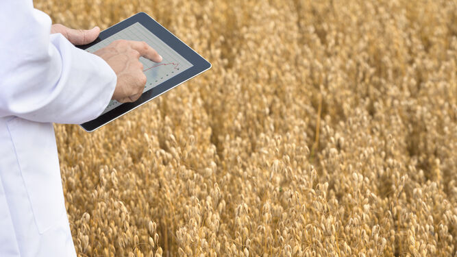 La digitalización del agro andaluz es ya una realidad para muchas empresas del sector.