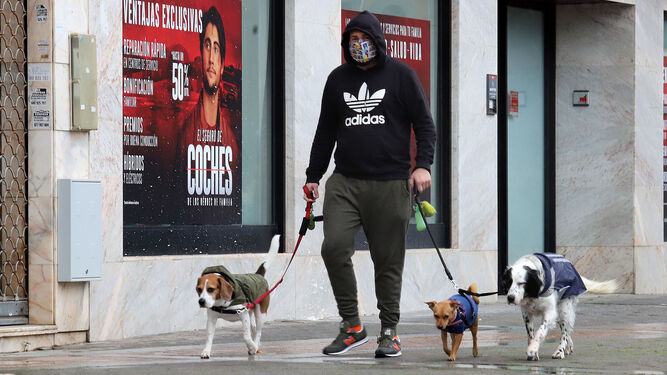 Un hombre paseando a sus perros por Huelva.