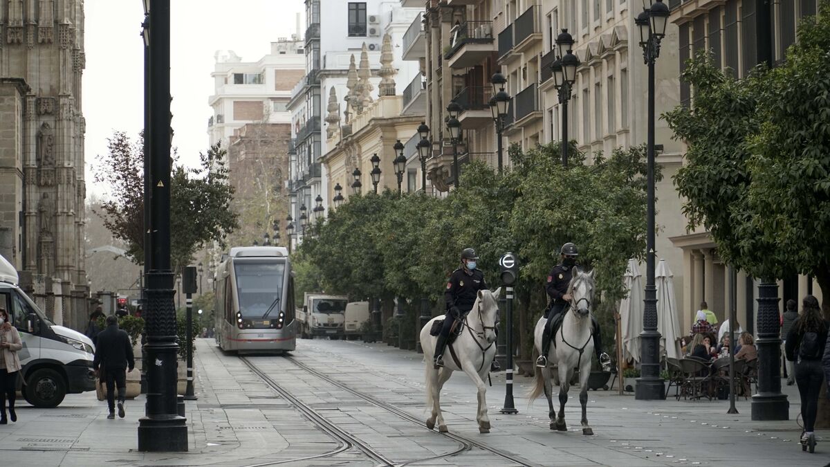 Una pareja de la Policía Nacional a caballo patrulla por la Avenida de la Constitución con el tranvía al fondo.