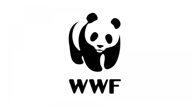 WWF elimina el oso panda de su logo por el Día Mundial de la Vida Silvestre