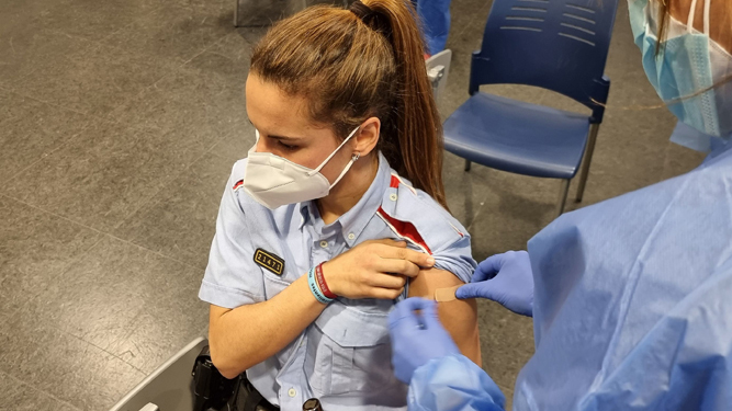 Una agente de los Mossos d'Esquadra recibe la vacuna en Lérida.