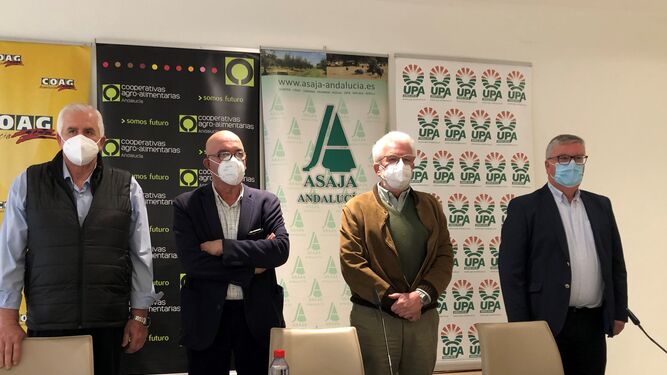 Miguel López (COAG), Juan Rafael Leal (Cooperativas Agro-Alimentarias), Ricardo Serra (Asaja) y Miguel Cobos (UPA), el pasado 11 de enero en rueda de prensa