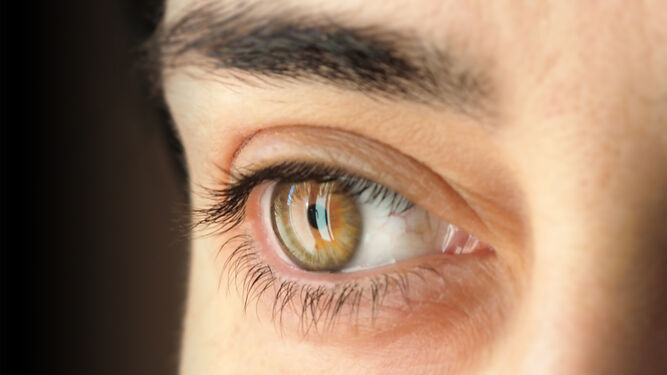 La Semana Mundial del Glaucoma se celebra entre el 8 y el 14 de marzo.