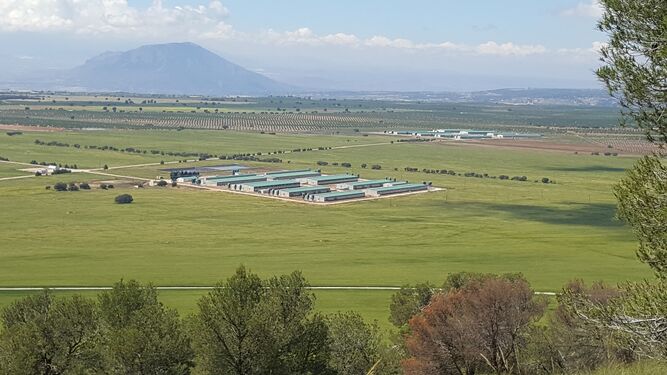Imagen de las instalaciones de Cefusa en Dehesa del Rey, en la localidad granadina de Castilléjar.