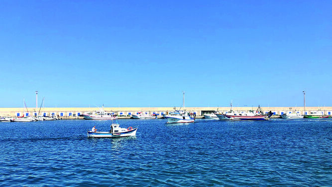 Puerto Pesquero de Carboneras, 30 años fraguando el ADN marinero.