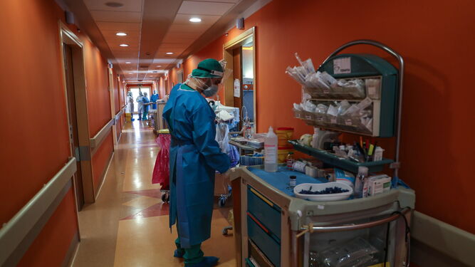 Personal sanitario en un hospital de Roma.