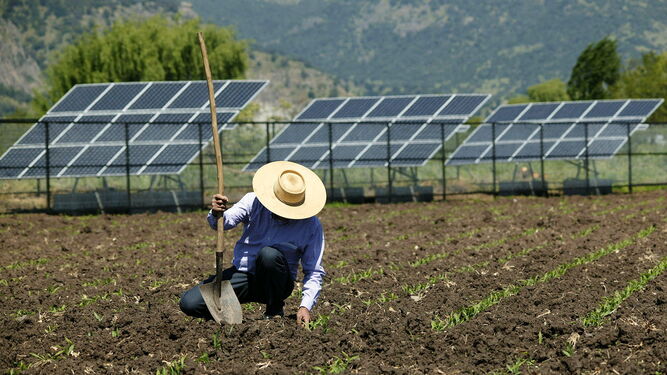 Placas solares en una explotación agraria.