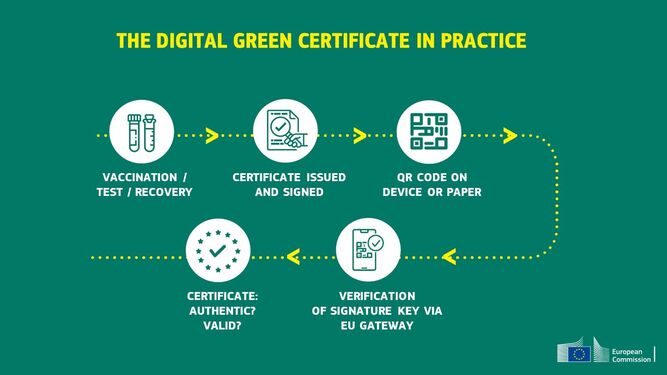 Proceso de validación del certificado digital verde