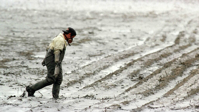 Un operario de Medio Ambiente camina sobre los lodos tóxicos tras el vertido de 1998.