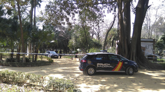 La Policía Nacional, en el Parque de María Luisa, en un suceso anterior.