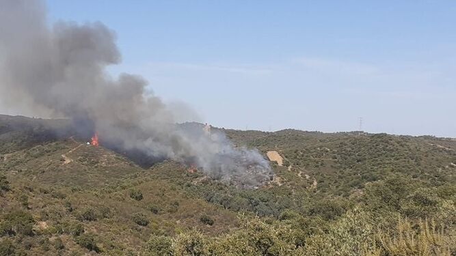 Imagen de archivo de un incendio forestal declarado en Aznalcóllar (Sevilla).