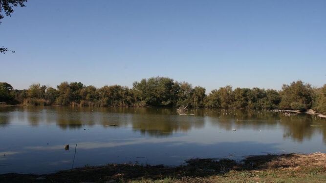 La Laguna de Fuente del Rey en Dos Hermanas.