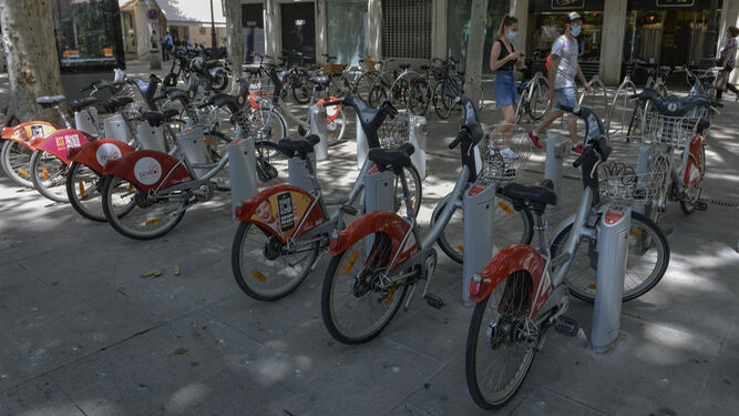 Varias bicicletas aparcadas en la estación de la Plaza Nueva.