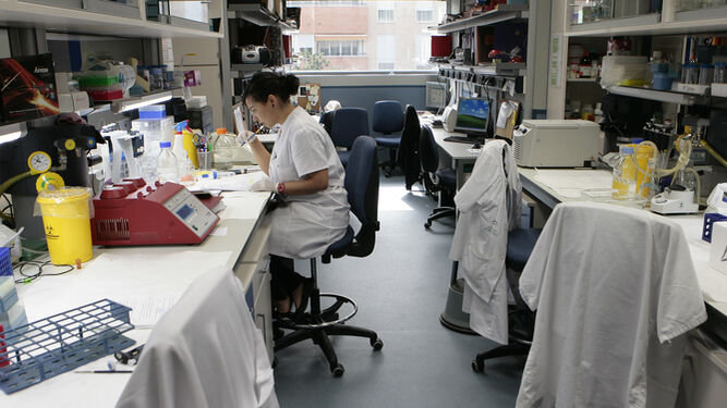 Laboratorio de Biomedicina.