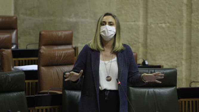 La consejera de Fomento Marifrán Carazo, en el Parlamento.