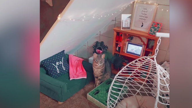 Una mujer construye una réplica de su salón para su gato