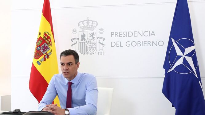 El presidente del Gobierno, Pedro Sánchez, durante una reunión por videoconferencoa en Moncloa.