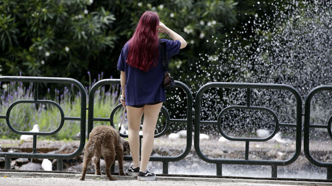 Una joven pasea su perro en un parque.