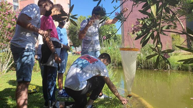 Alumnos del IES María Galiana durante las prácticas de campo en la laguna de la UPO.