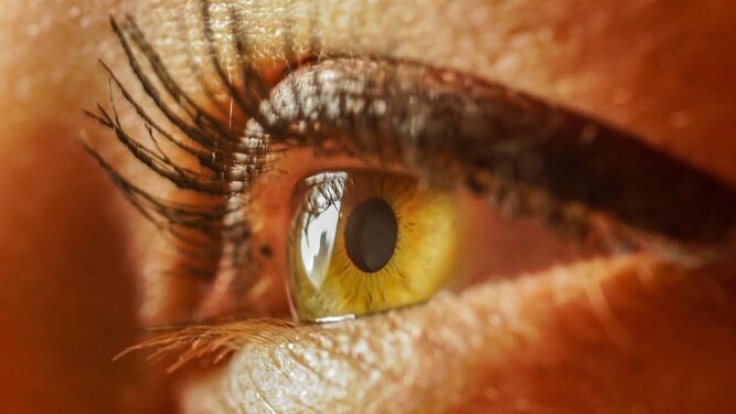 El tamaño de nuestras pupilas podrían indicar nuestra mayor o menor inteligencia