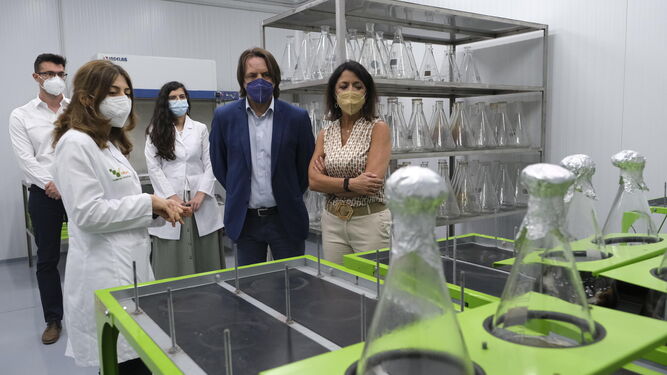 La presidenta del Parlamento de Andalucía en las instalaciones de Vellsam Materias Bioactivas.