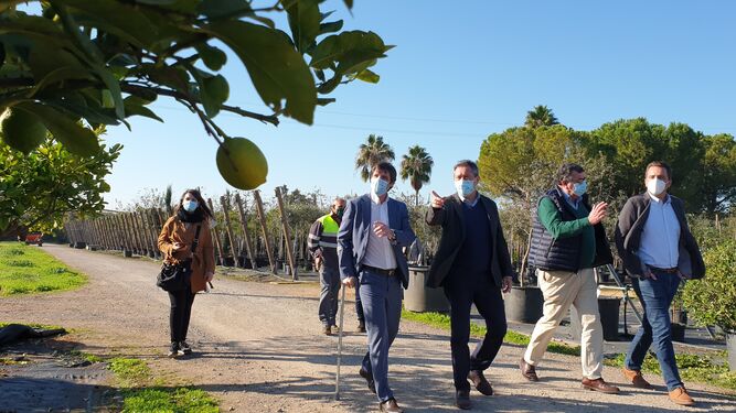 David Guevara y Juan Espadas paseando por una zona verde de Sevilla.