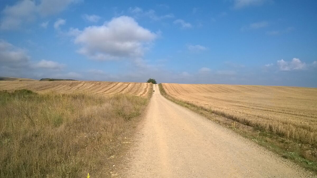 Una larga recta en el Camino Francés