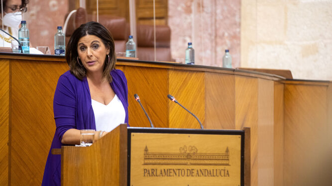 Ángeles Férriz, durante el debate de la comunidad en el Parlamento.
