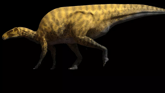 El 'Portellsaurus sosbaynati'