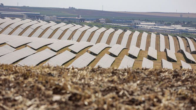 El parque fotovoltaico más amplio grande de Guillena visto desde un campo de maíz recién recogido.
