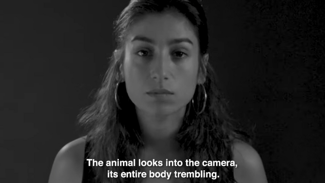 "Nos Miran", un corto donde 9 actrices acusan a Vivotecnia de maltrato animal