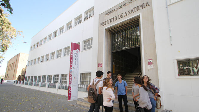 Facultad de Medicina de la Universidad de Sevilla.