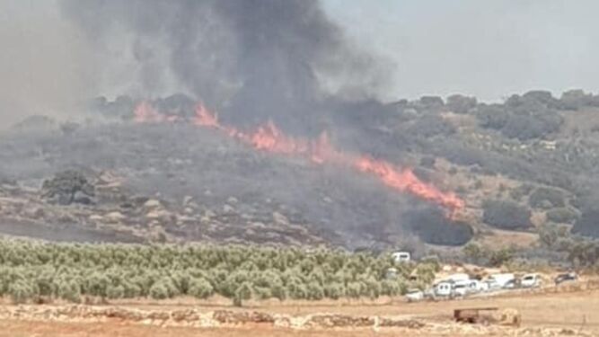 Una barbacoa familiar originó un incendio que calcinó 30 hectáreas en Pedrera
