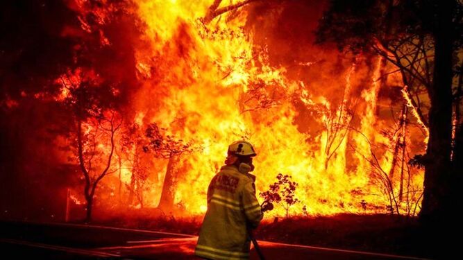 Un incendio en La Puebla arrasa con 4 hectáreas de hábitat de lince