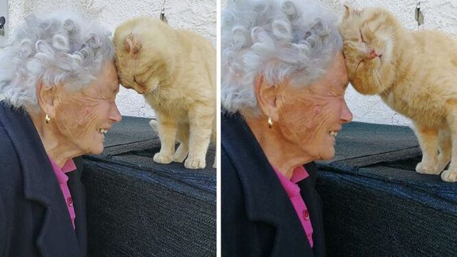 gato y anciana
