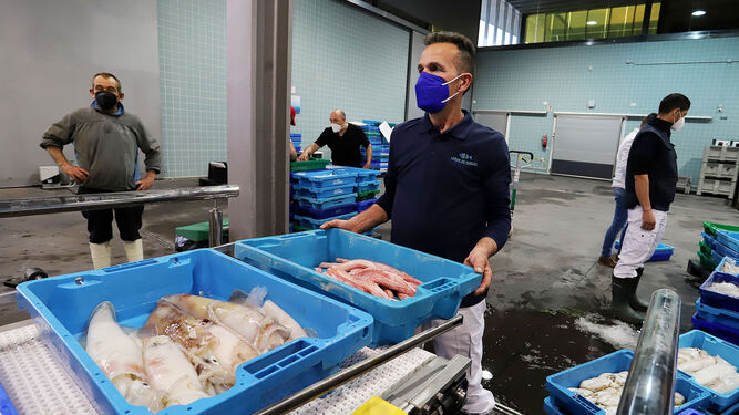 Varios trabajadores colocan cajas de pescado en la lonja de Huelva.