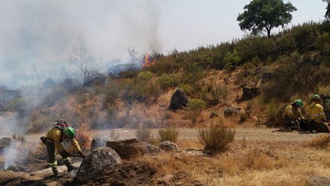 Extinción de un incendio forestal en Almadén de la Plata