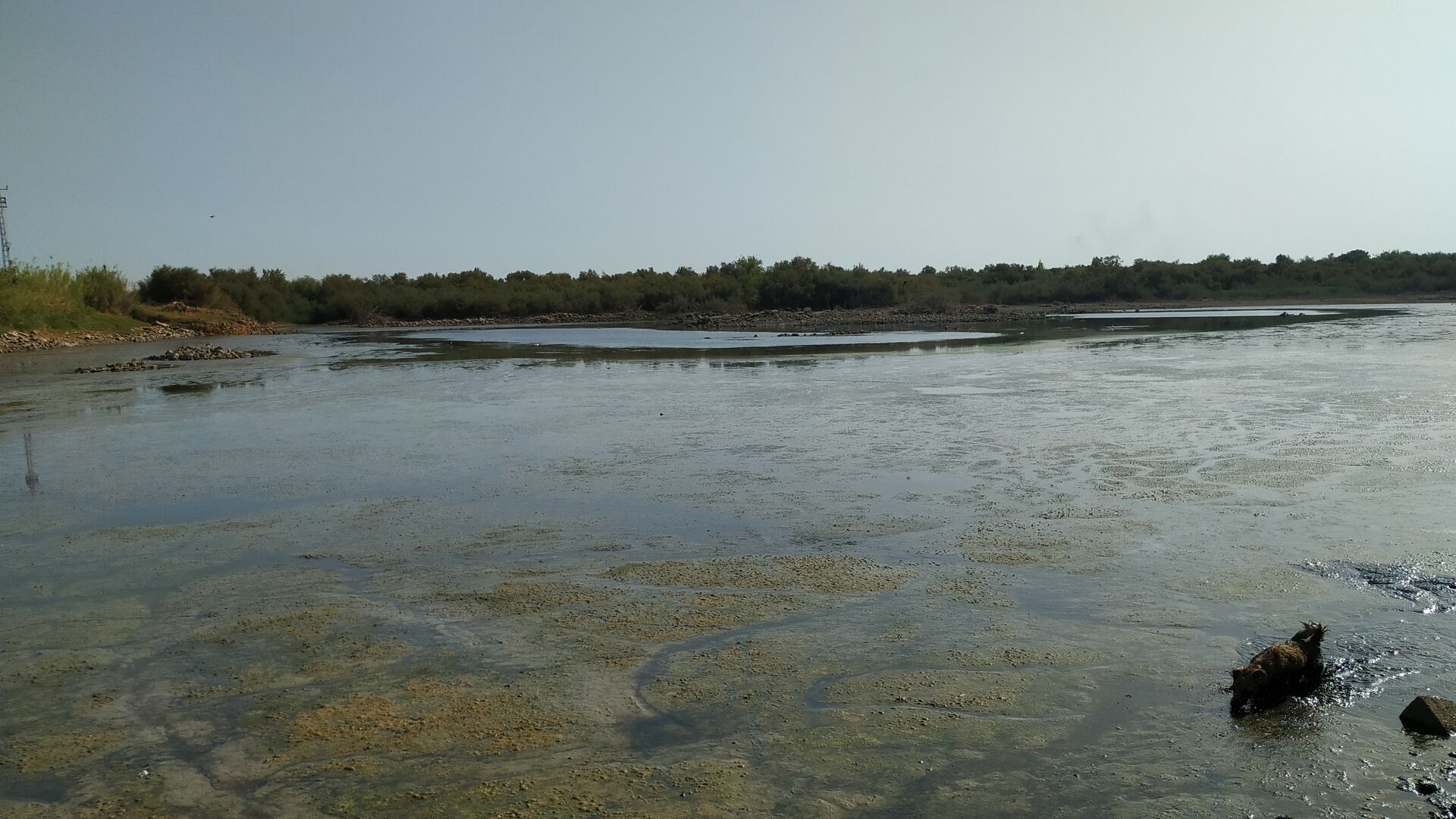 La Laguna de la Mejorada se seca
