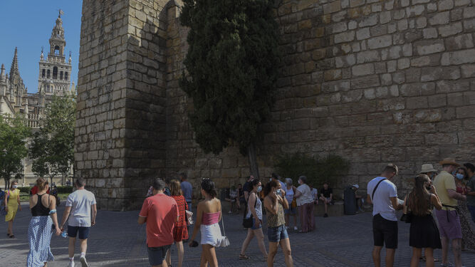 Un grupo de turistas en el entorno del Alcázar de Sevilla.