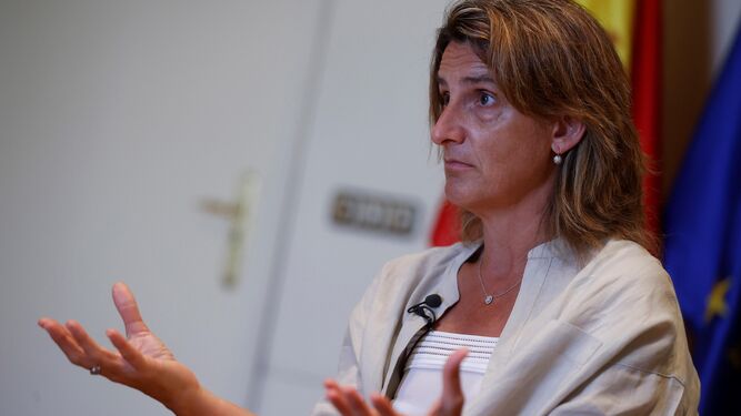 Teresa Ribera, ministra para la Transición Ecológica y vicepresidenta tercera.