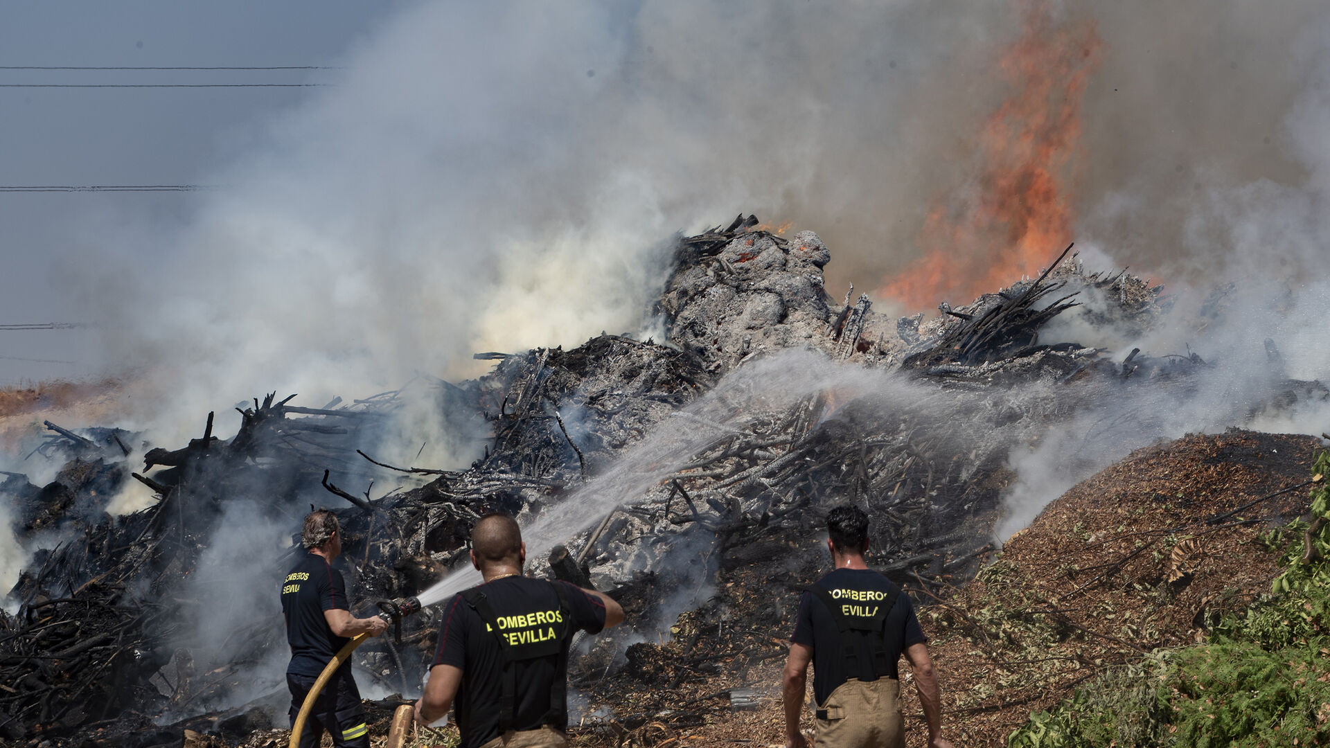 Bomberos de Sevilla extinguen un incendio en una empresa residuos vegetales