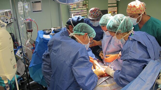 Varios médicos realizan un trasplante